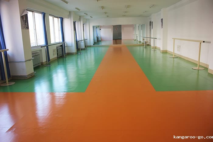 济南应用技术学校形体教室