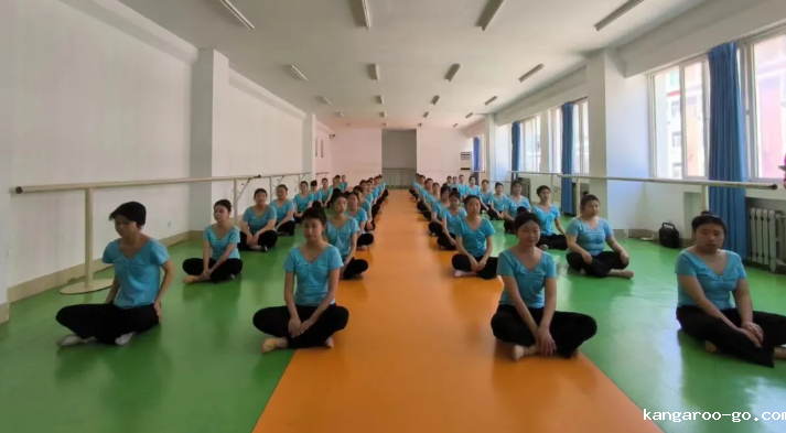潜心研教学|走进李晶老师的舞蹈公开课